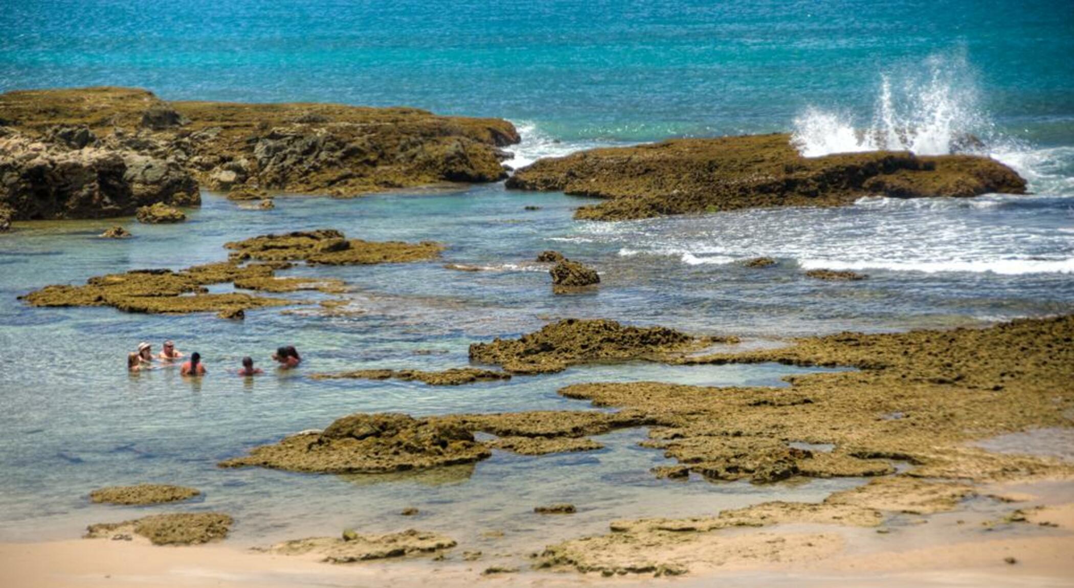 Bahia Bacana